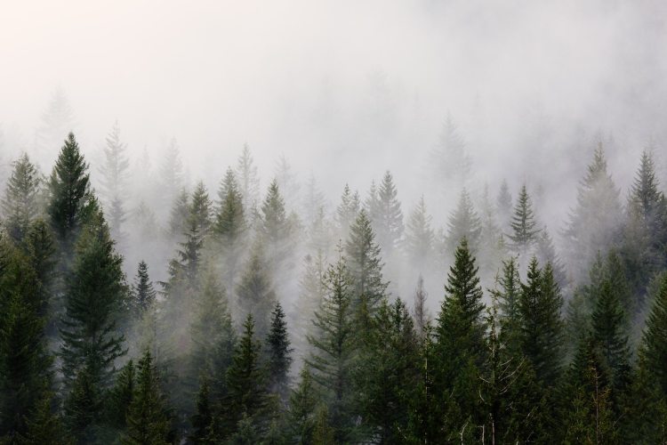 dave-PDfe7H5GJR0-unsplash